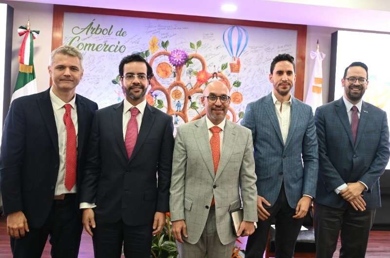 ESTUDIO DE LA DIGITALIZACIÓN DE LA PYME MEXICANA 2025